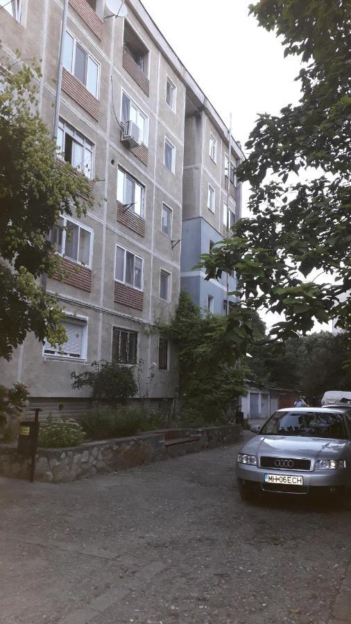 Apartmán Garsoniera Simo Orşova Exteriér fotografie